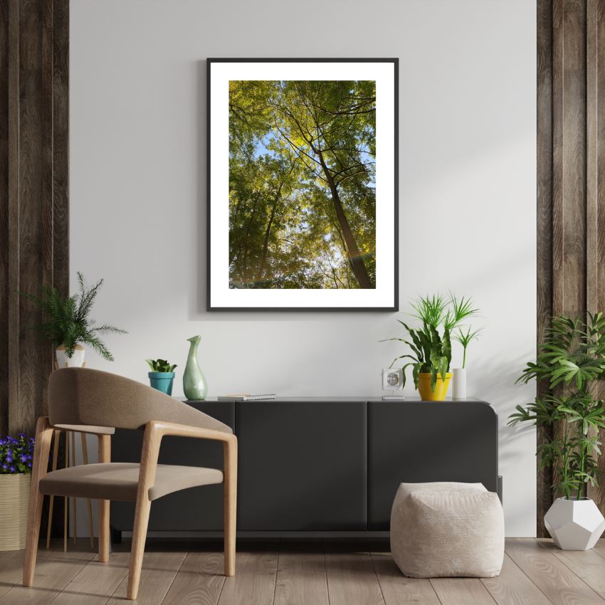 Sunny Forest Print